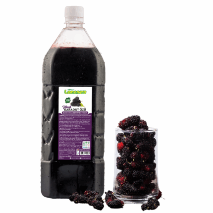 Lemonera 2 Lt Karadut Şurubu